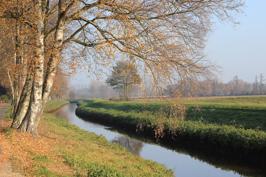 ein schöner Herbst ...