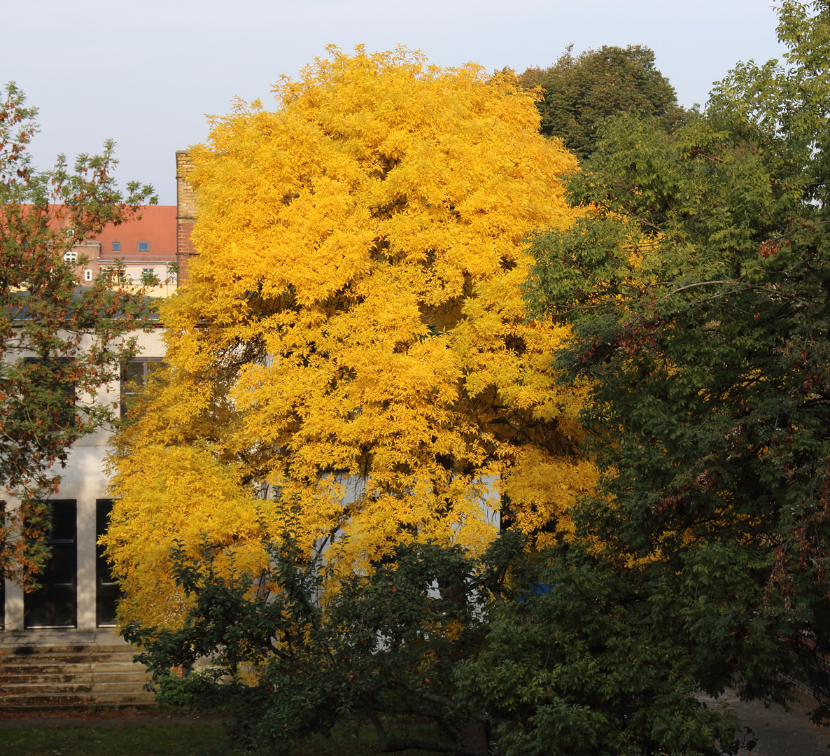 ein schöner Herbst