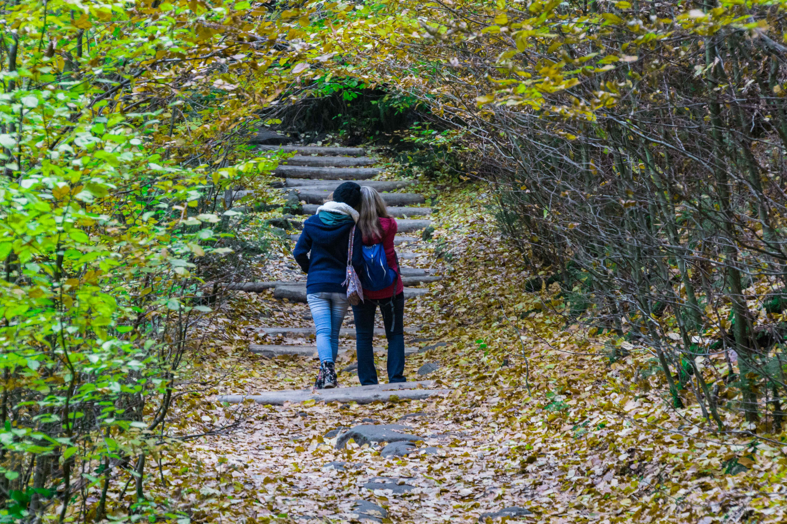 Ein Schöner Herbst das ist.....