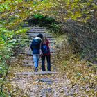 Ein Schöner Herbst das ist.....