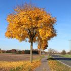 Ein schöner Herbst-Tag auf dem Land