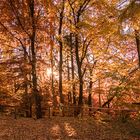 Ein schöner Herbst Tag