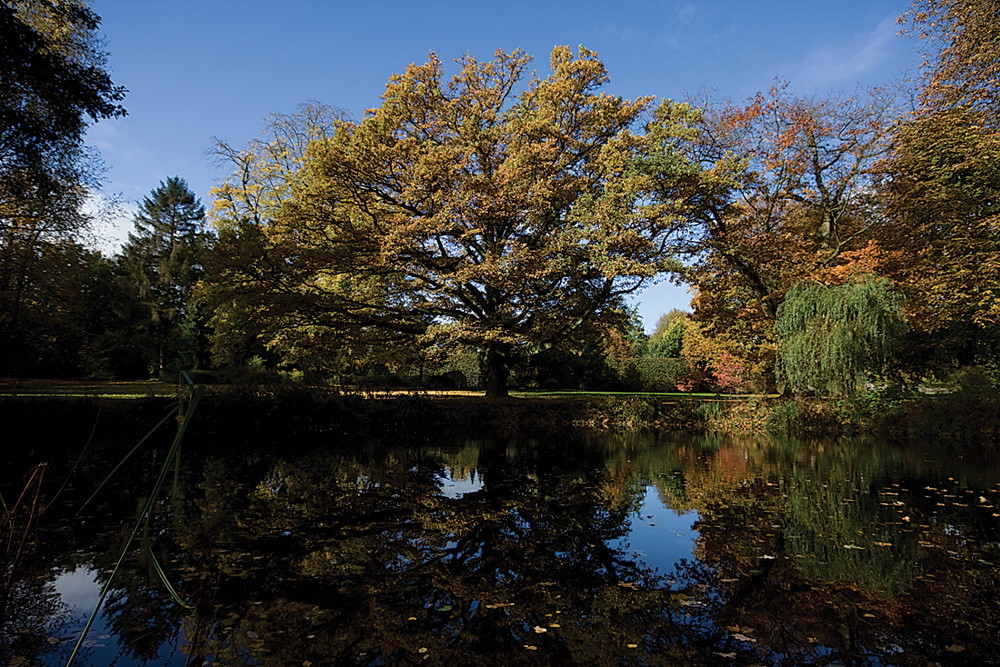 Ein schöner Herbst Tag