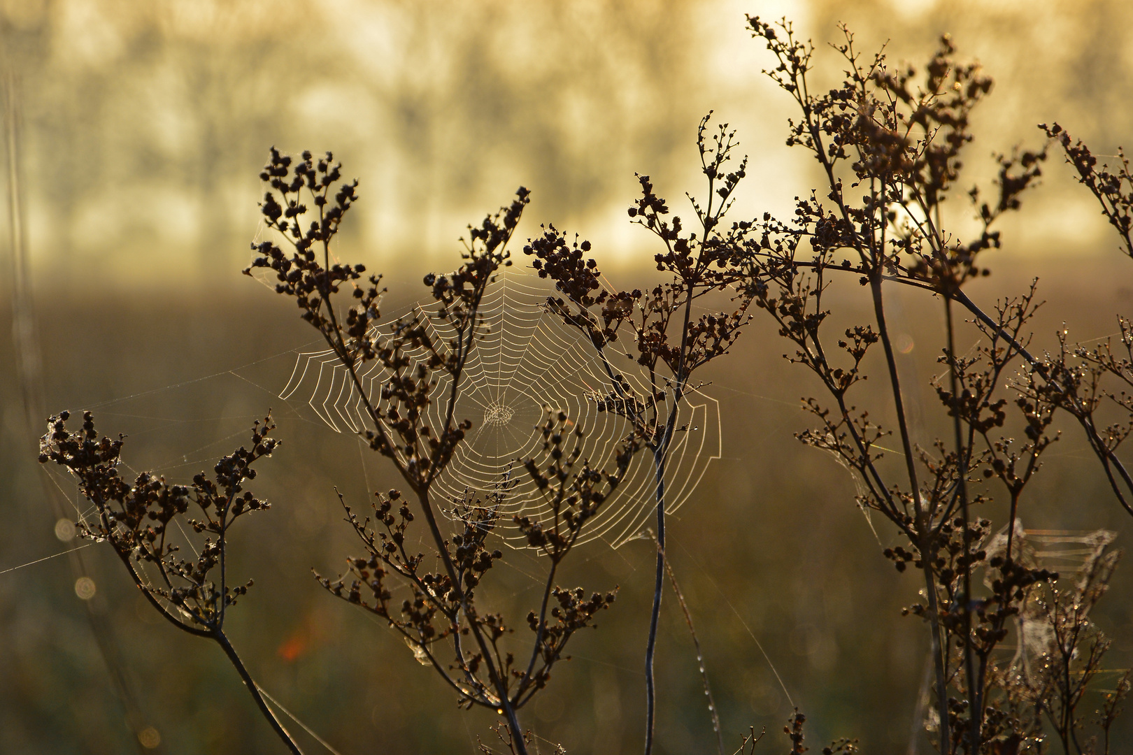 Ein schöner Herbstmorgen