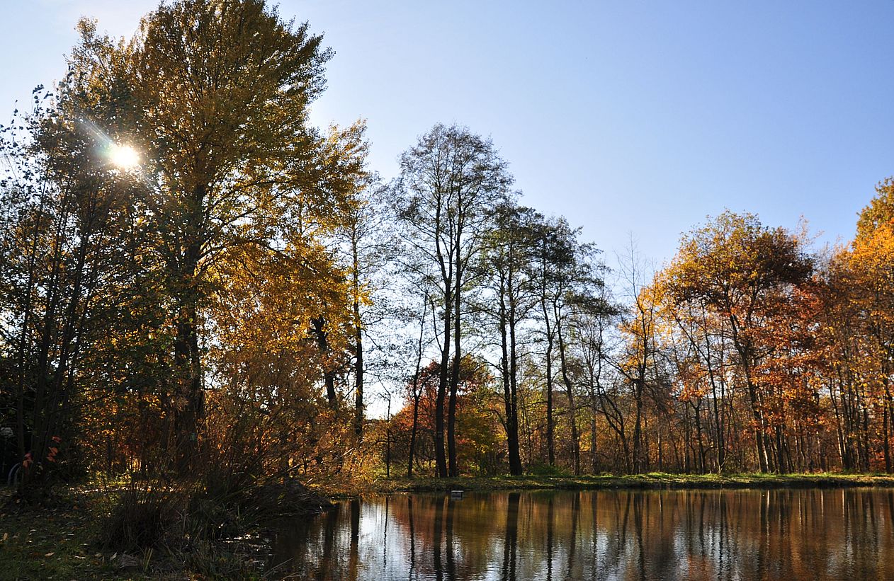 Ein schöner Herbstsonntag