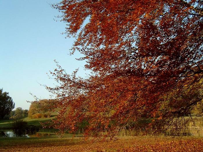 .....ein schöner Herbsttag.........