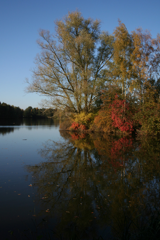 Ein schöner Herbsttag...