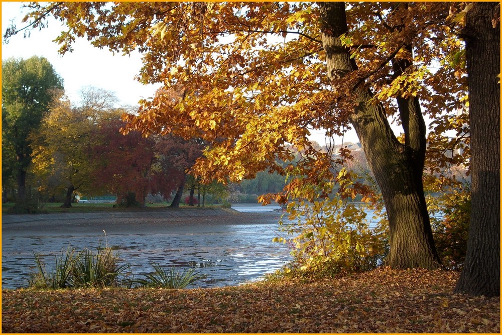 ein schöner Herbsttag