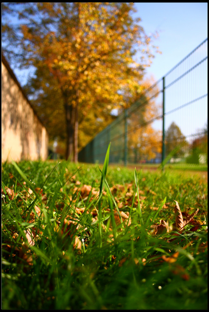 Ein Schöner HerbstTag