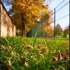 Ein Schöner HerbstTag