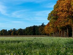 Ein schöner Herbsttag