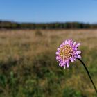 ein schöner herbsttag