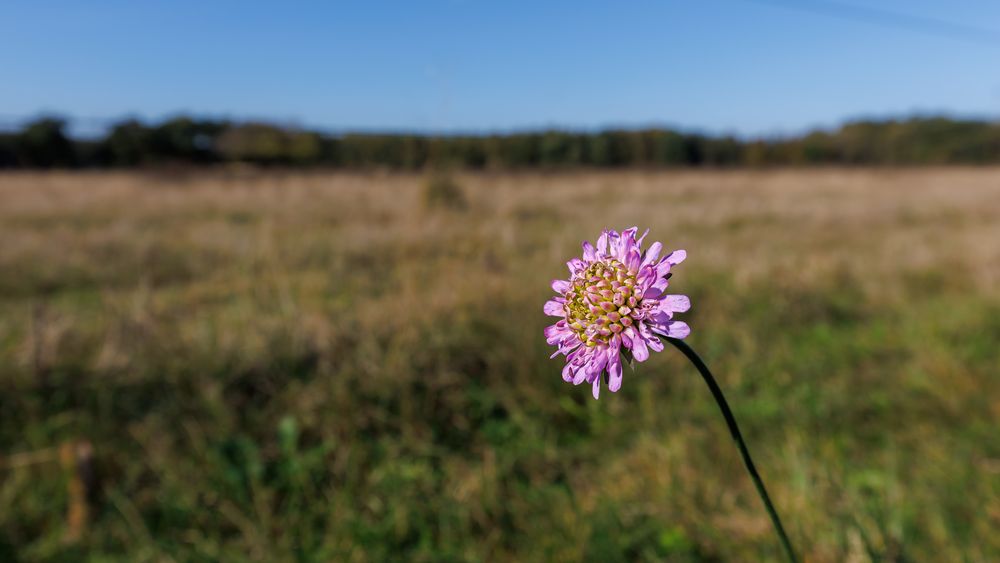 ein schöner herbsttag