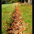 Ein schöner Herbsttag :)