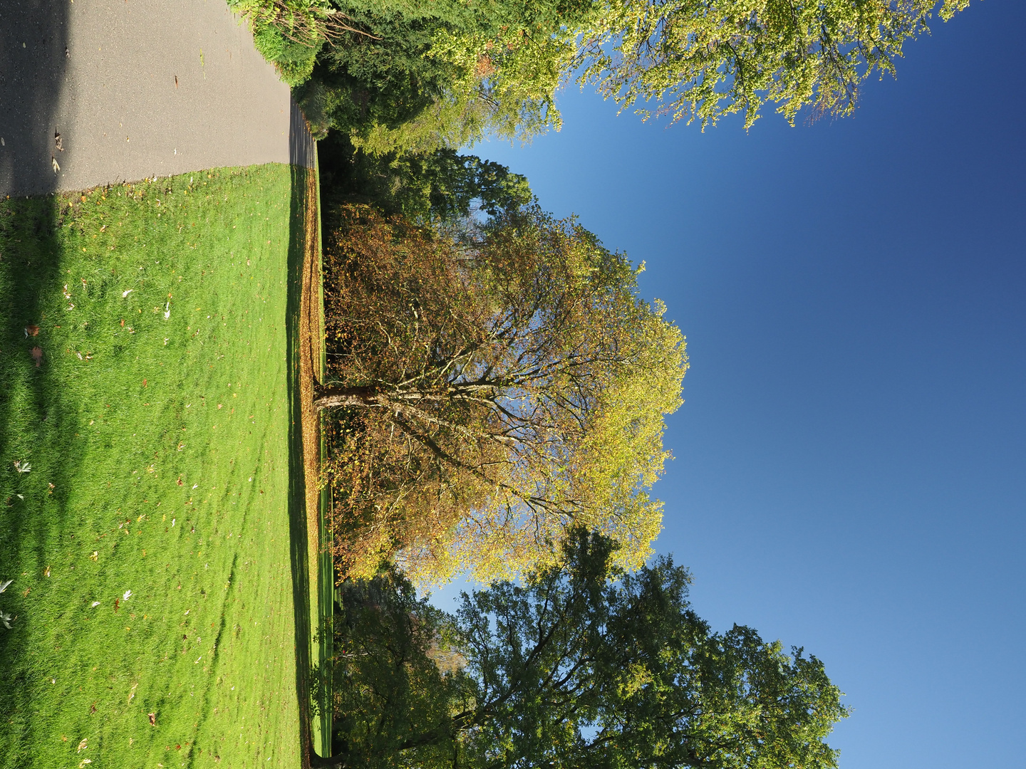 Ein schöner Herbsttag