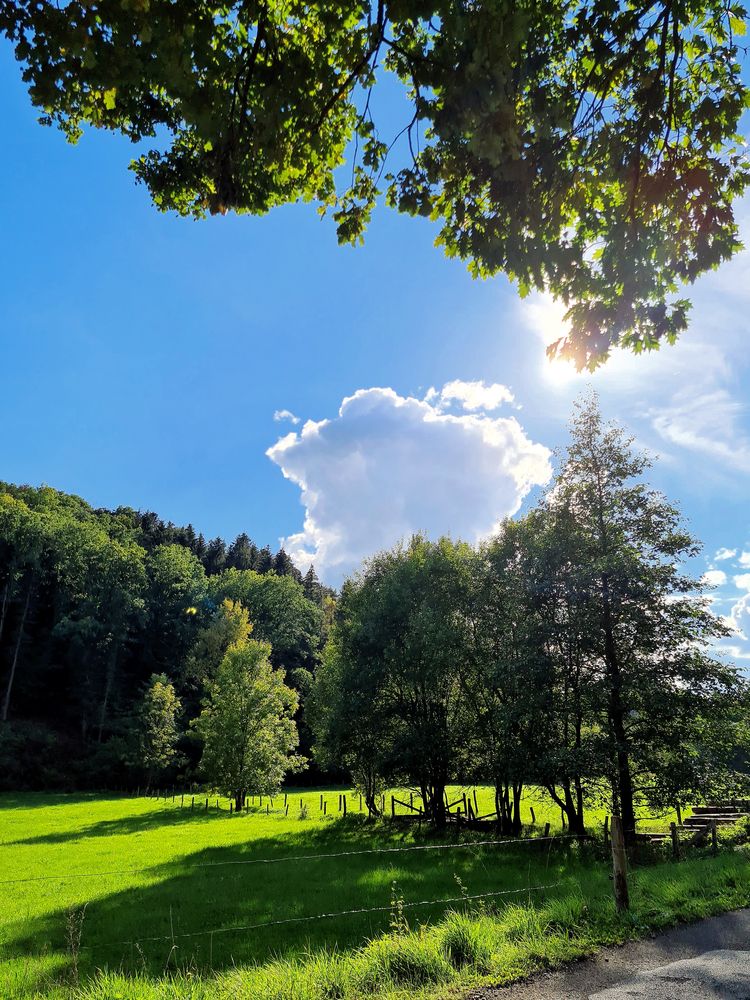 Ein schöner Herbsttag 