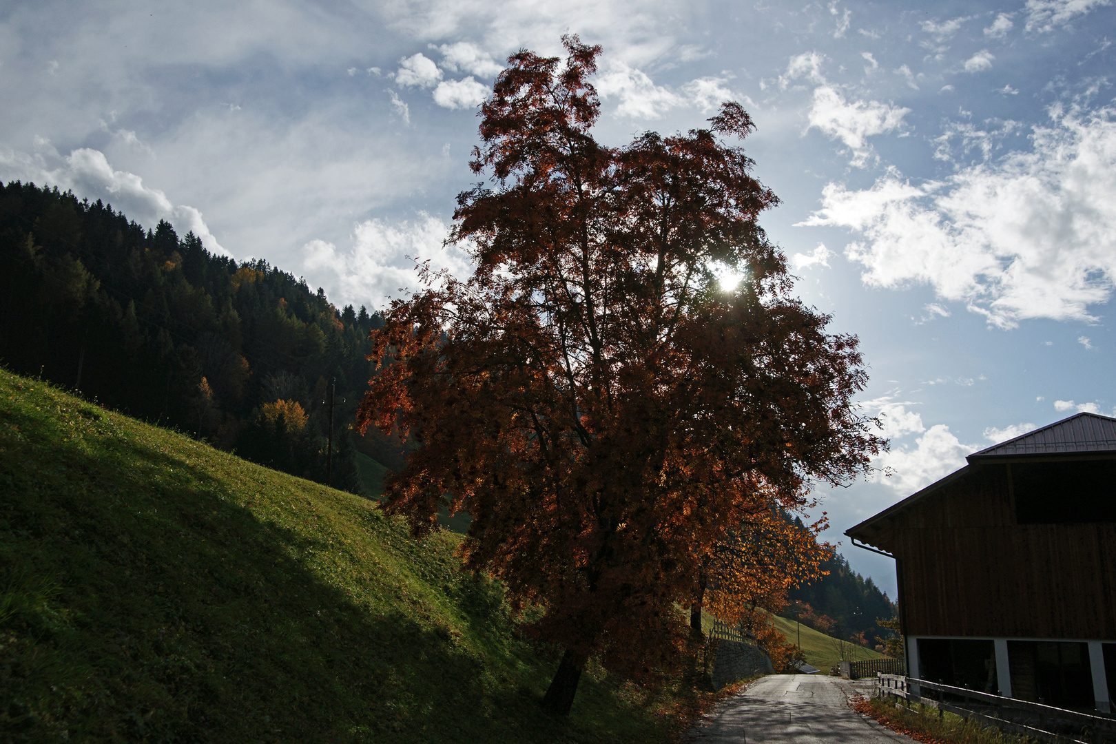 ein schöner Herbsttag....