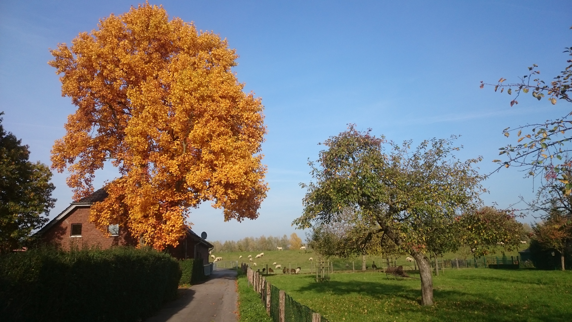 Ein schöner Herbsttag