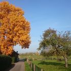 Ein schöner Herbsttag