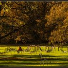 EIN SCHÖNER HERBSTTAG