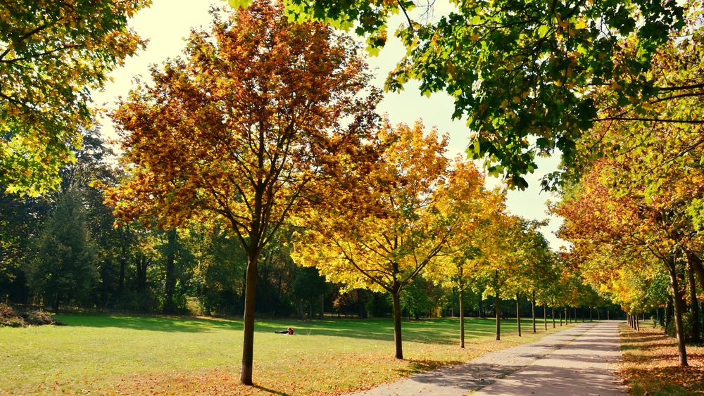 Ein schöner Herbsttag