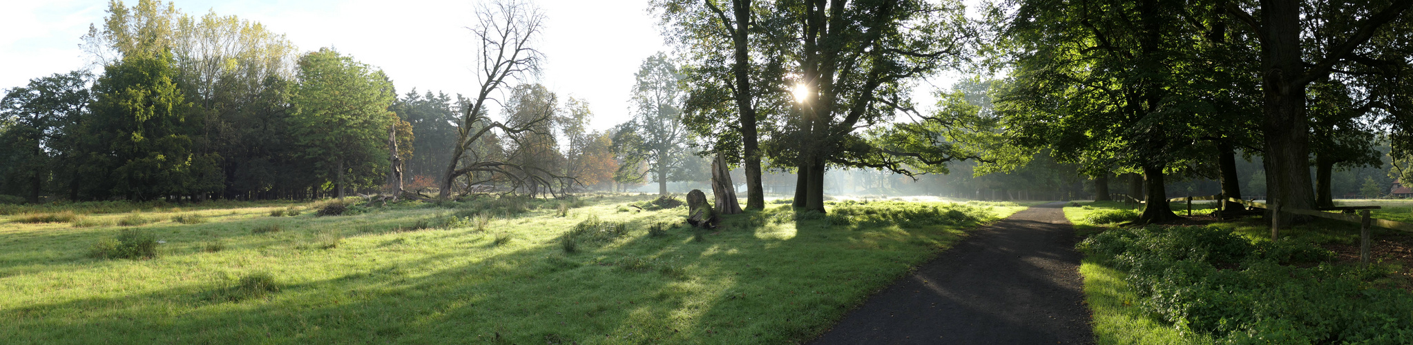 Ein schöner Herbsttag