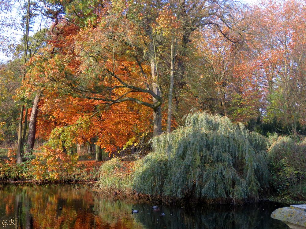 Ein schöner Herbsttag