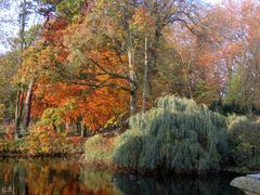 Ein schöner Herbsttag