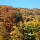 ein schöner Herbsttag