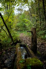 Ein schöner Herbsttag