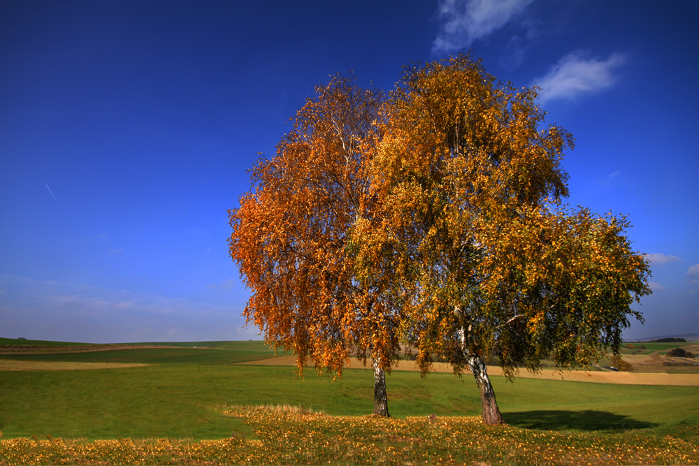 ein schöner Herbsttag