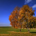 ein schöner Herbsttag