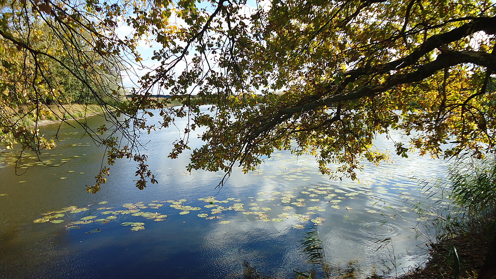 ein schöner Herbsttag