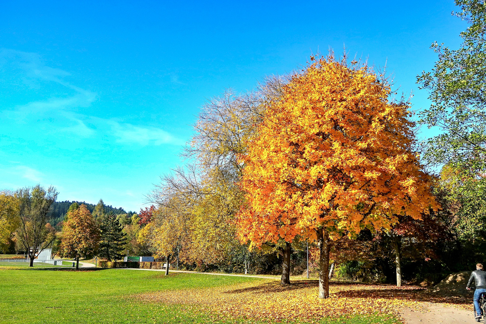 Ein schöner Herbsttag 