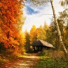 ein schöner Herbsttag am Untreusee