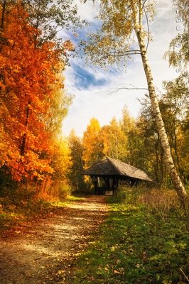 ein schöner Herbsttag am Untreusee