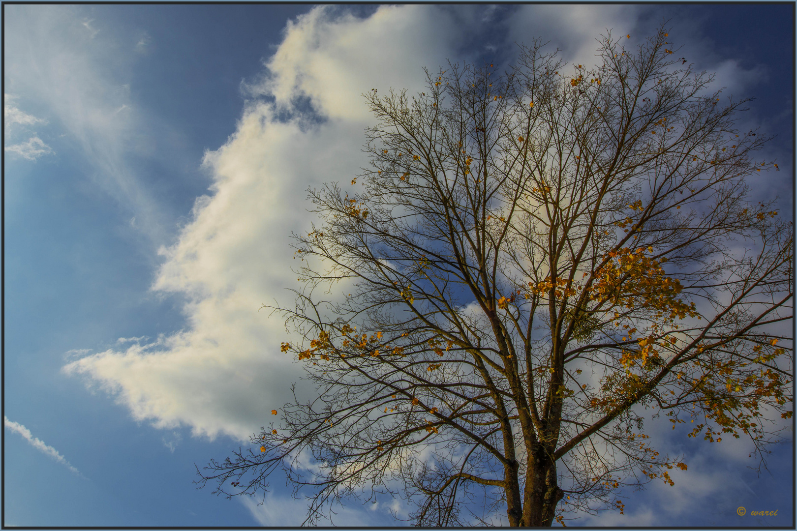 Ein schöner Herbsttag