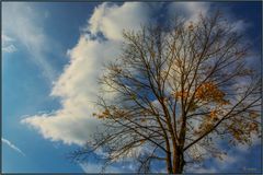 Ein schöner Herbsttag