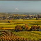 EIN SCHÖNER HERBSTTAG