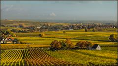 EIN SCHÖNER HERBSTTAG