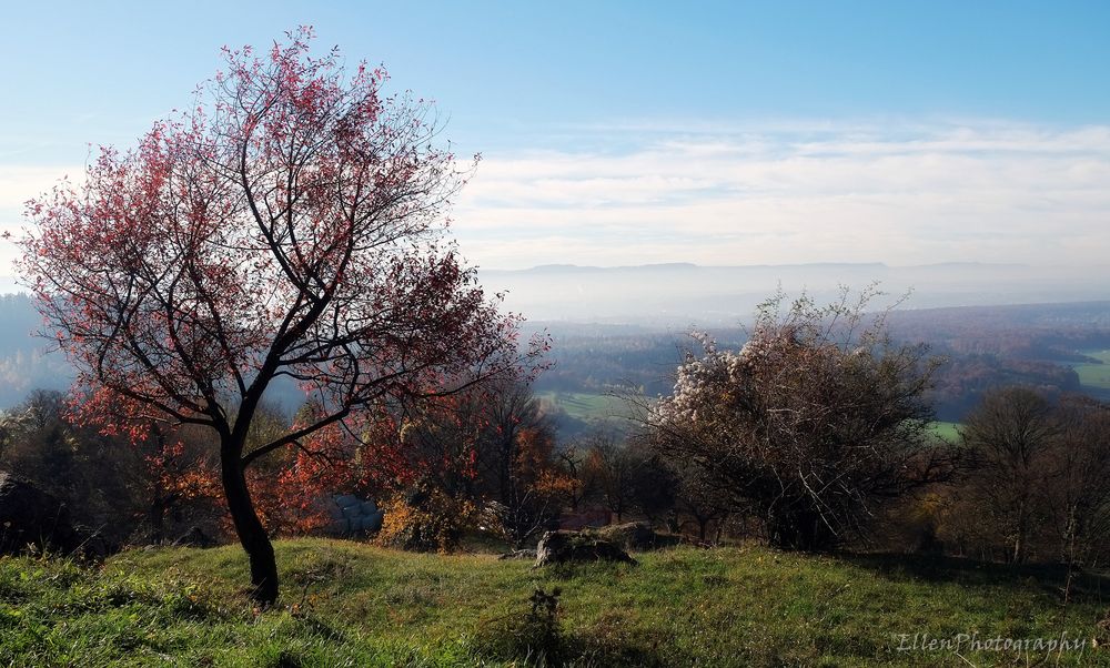 ein schöner Herbsttag