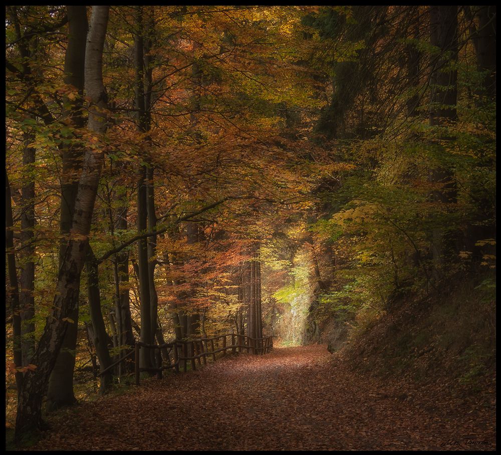 ein schöner Herbsttag ....