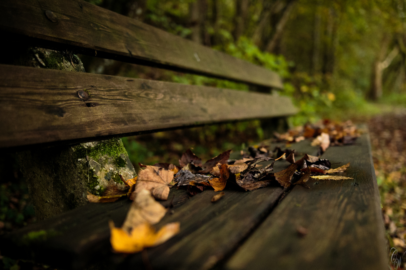 Ein schöner Herbsttag