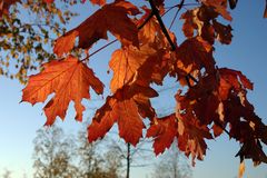 ein schöner Herbsttag geht zu Ende