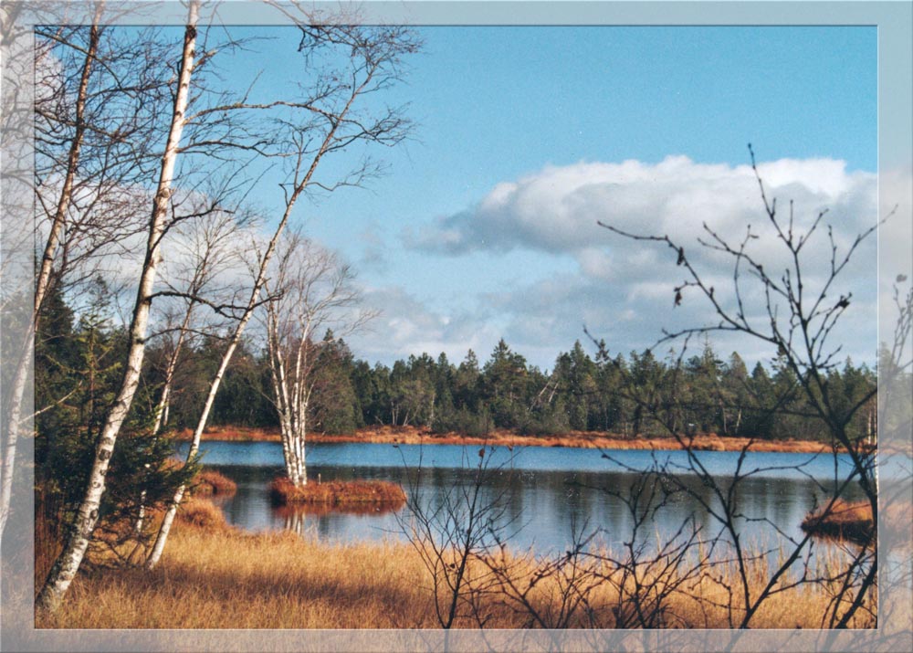 Ein schöner Herbsttag im Hochmoor