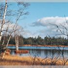 Ein schöner Herbsttag im Hochmoor