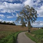 Ein schöner Herbsttag im Kanton Zürich