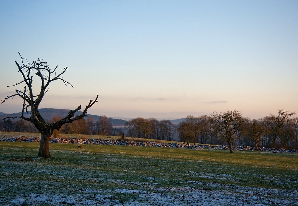 Ein schöner Januarabend