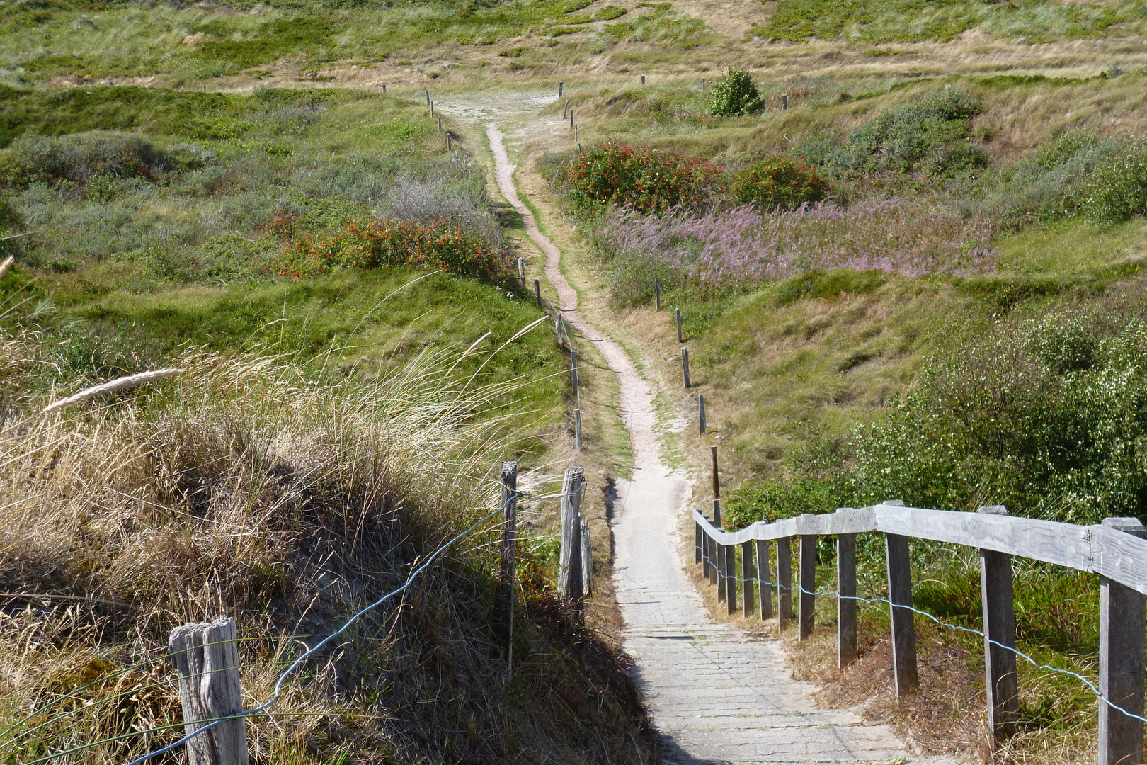 Ein schöner landschaftlicher und steiler Weg