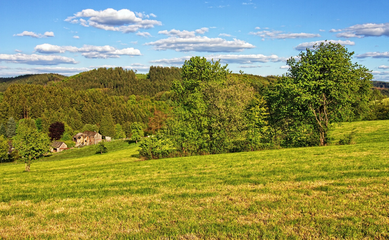 Ein schöner Mai Tag